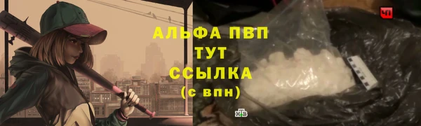 индика Пересвет