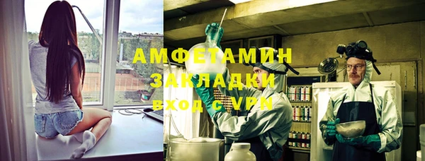 ПСИЛОЦИБИНОВЫЕ ГРИБЫ Абаза