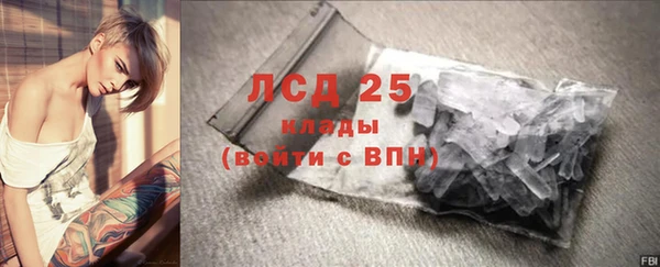ПСИЛОЦИБИНОВЫЕ ГРИБЫ Абаза