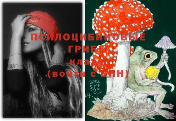 ПСИЛОЦИБИНОВЫЕ ГРИБЫ Абаза