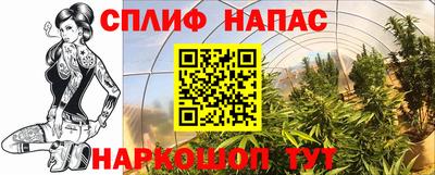 PSILOCYBIN Дубна
