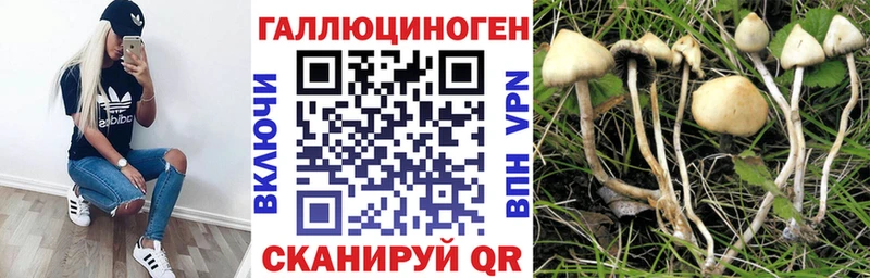 Псилоцибиновые грибы Psilocybine cubensis  мега как зайти  Лангепас 