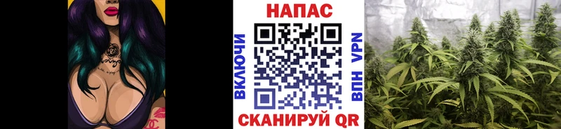 наркотики  Лангепас  Шишки марихуана Ganja 